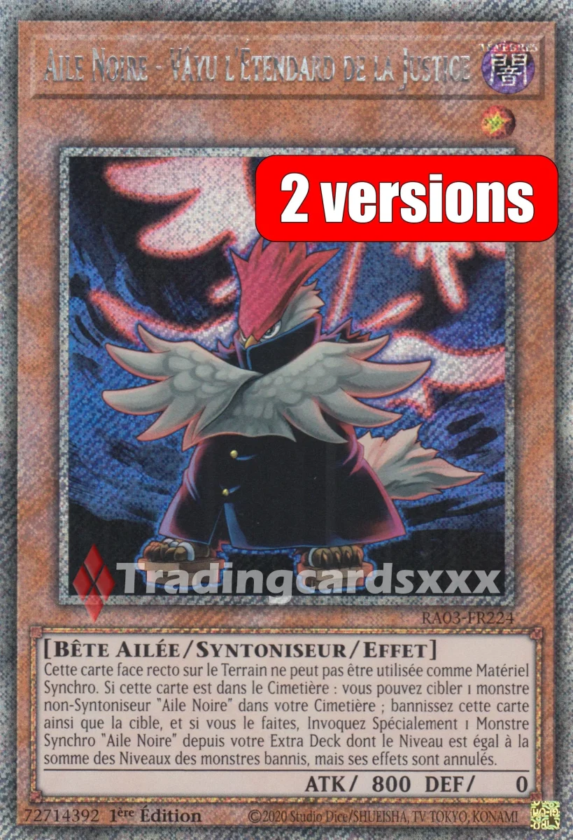 Yu-Gi-Oh! Aile Noire - Vâyu l'Étendard de la Justice : RA03-FR224